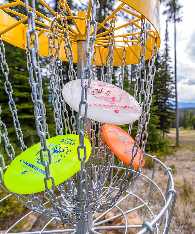 Disc-golf